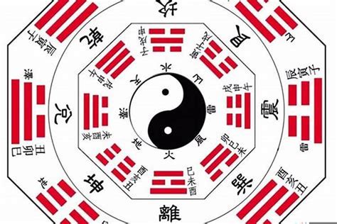 大象五行属什么|风水中大象五行属什么